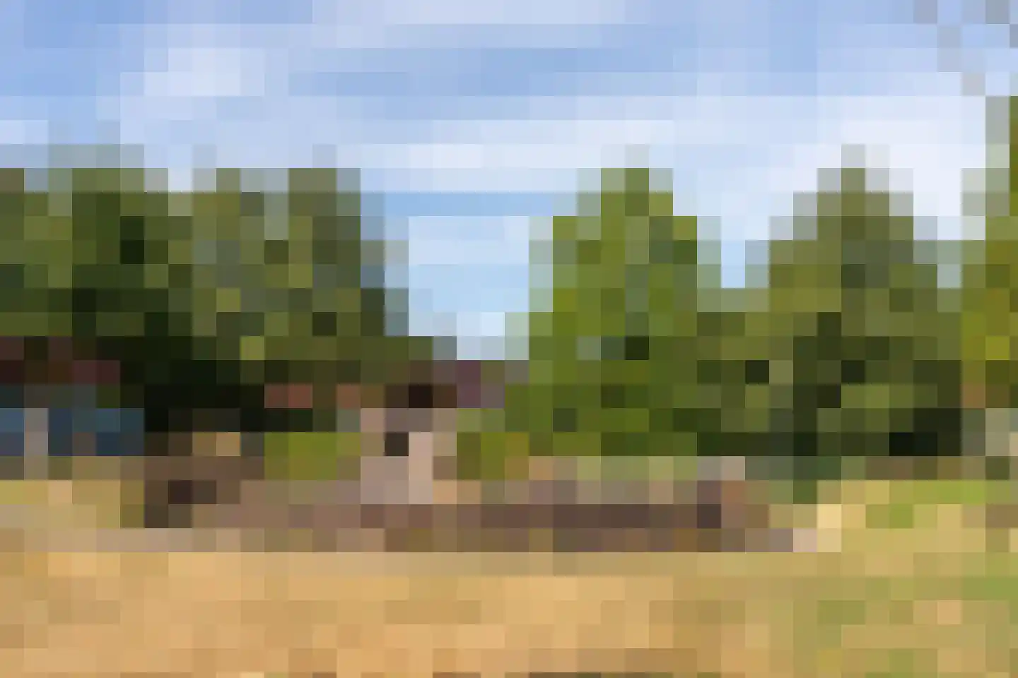 Meerval 150 Amersfoort thumbnail 38