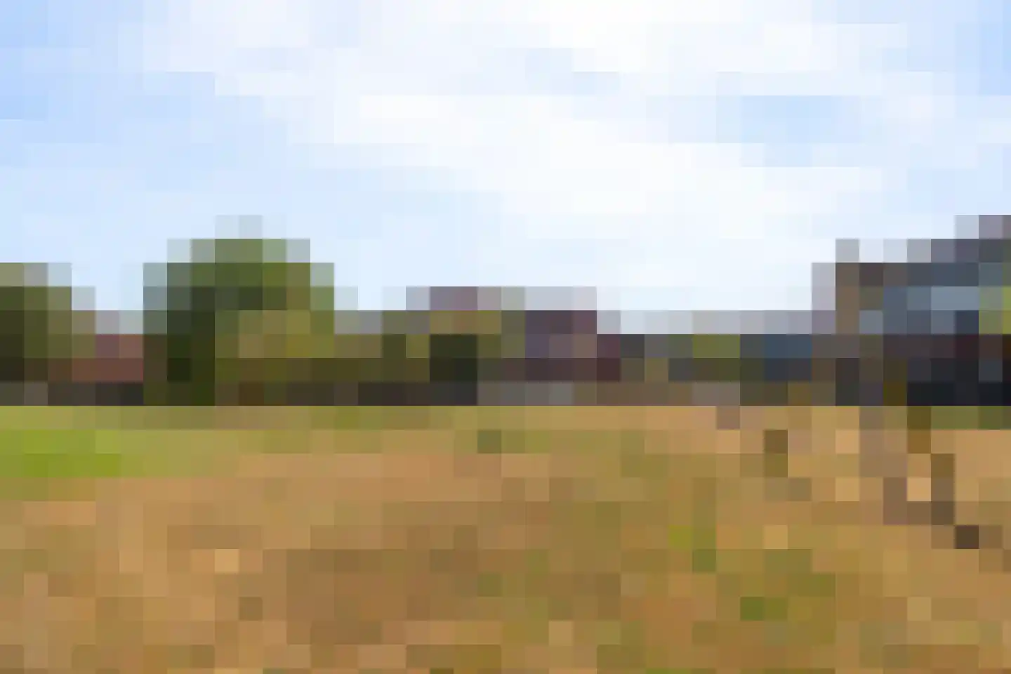 Meerval 150 Amersfoort thumbnail 39