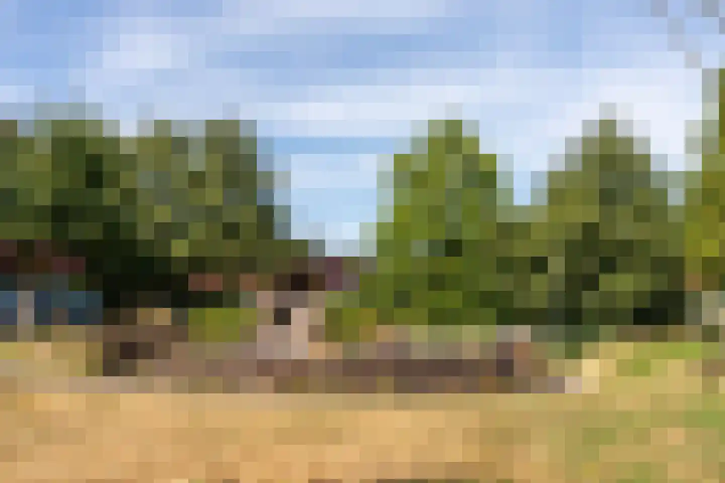 Meerval 150 Amersfoort thumbnail 39