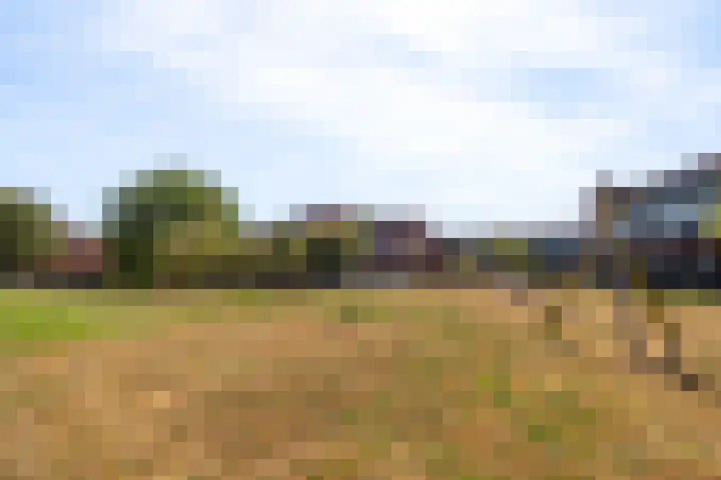 Meerval 150 Amersfoort thumbnail 40