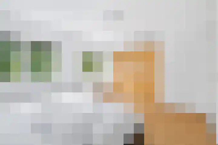 Meerval 16 Amersfoort thumbnail 16