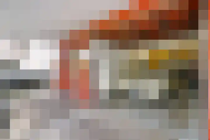 Meerval 16 Amersfoort thumbnail 26
