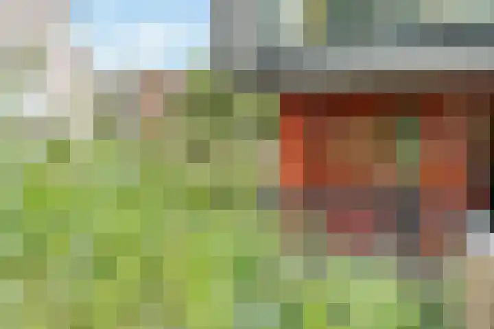 Meerval 16 Amersfoort thumbnail 6