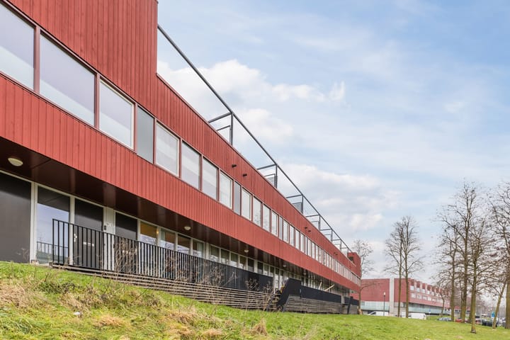 Meerval 17 dans Amersfoort photo