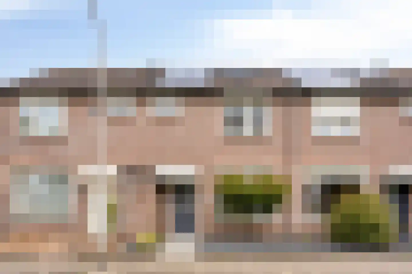 Meerval 17 in Oss