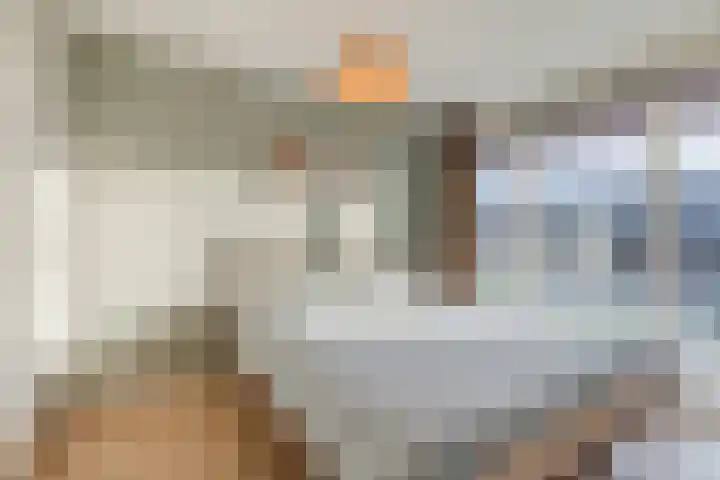 Meerval 17 Amersfoort thumbnail 11