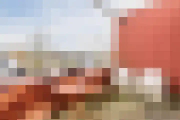 Meerval 17 Amersfoort thumbnail 25
