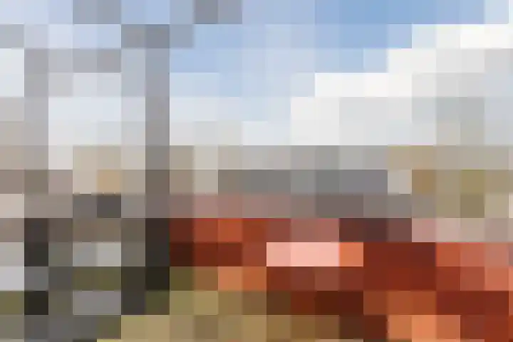 Meerval 17 Amersfoort thumbnail 27