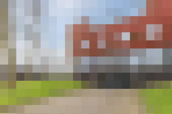 Meerval 17 Amersfoort thumbnail 31