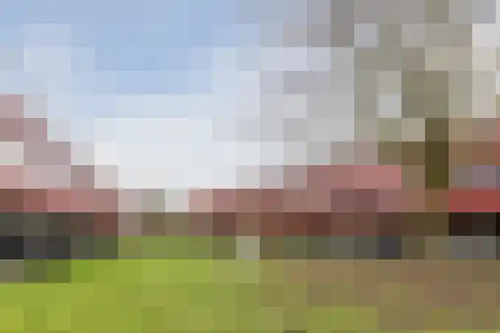 Meerval 17 Amersfoort thumbnail 33