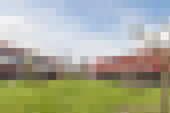 Meerval 17 Amersfoort thumbnail 34