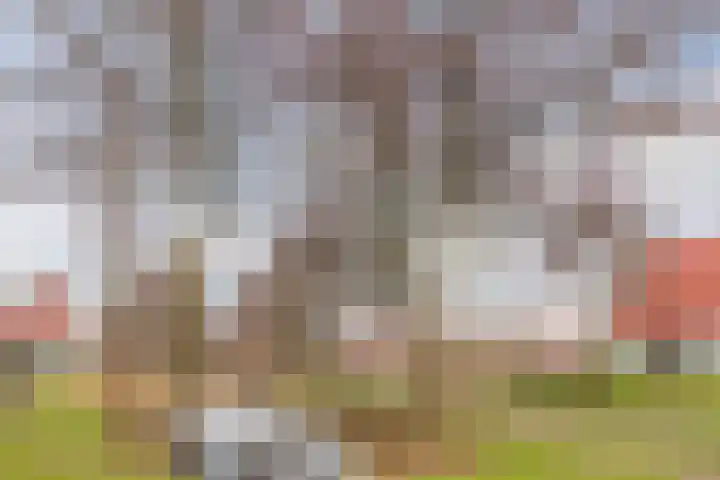 Meerval 17 Amersfoort thumbnail 35