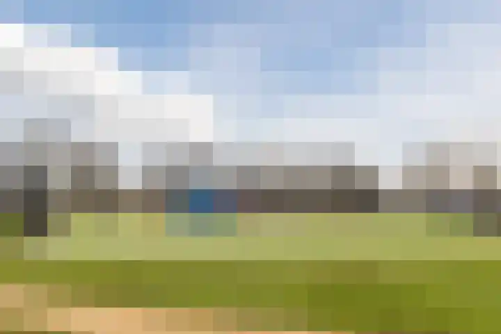 Meerval 17 Amersfoort thumbnail 36