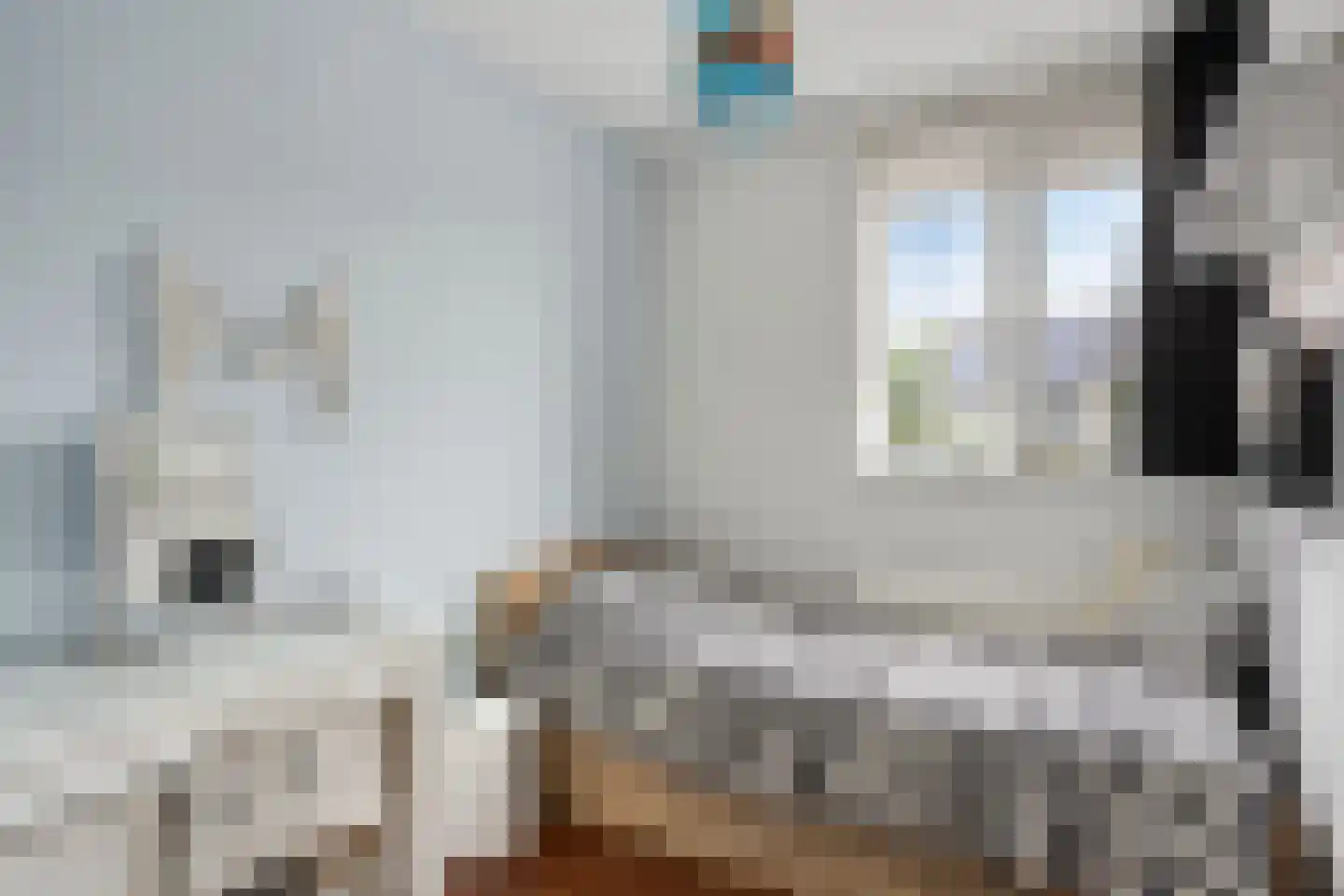 Meerval 17 Oss thumbnail 14