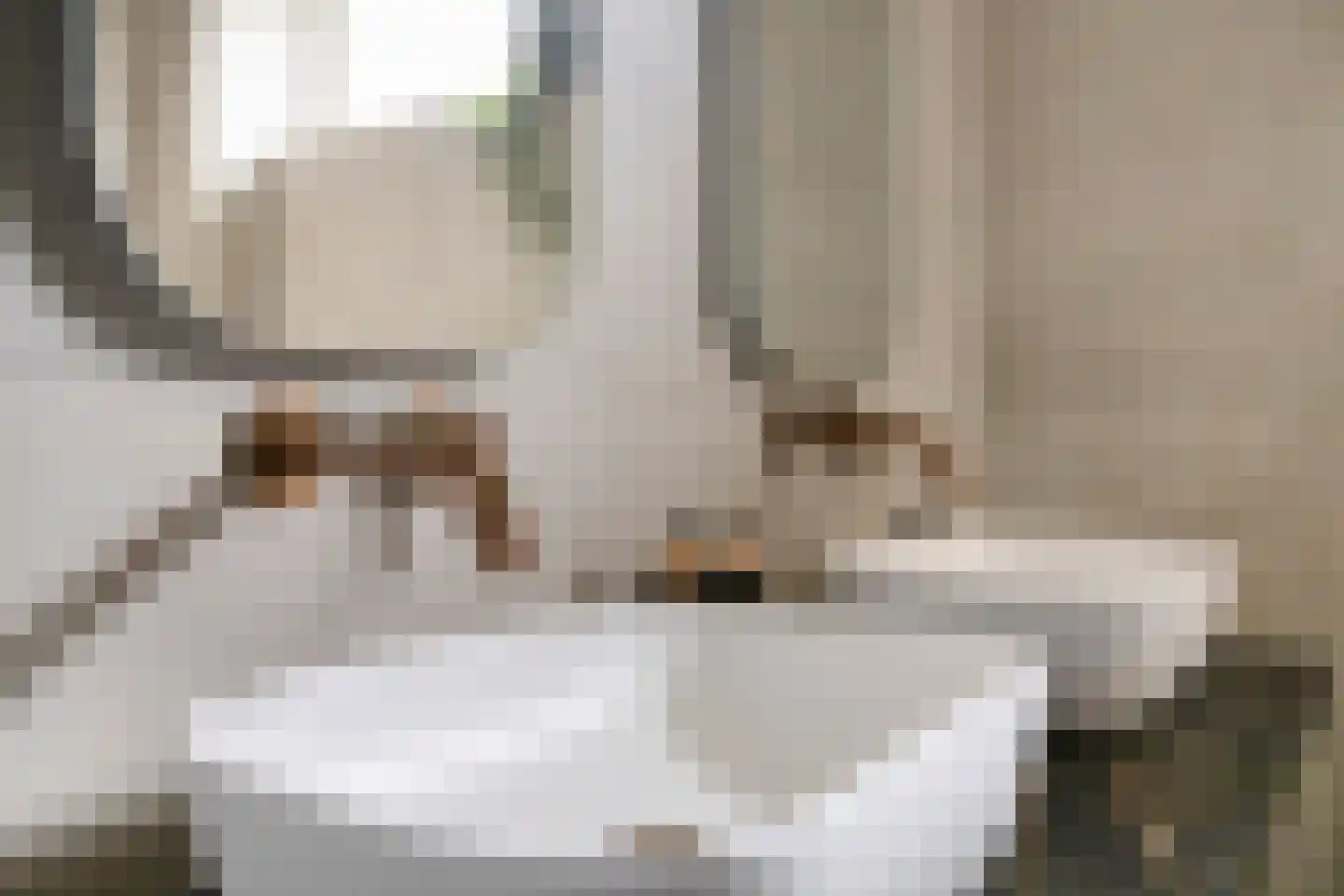 Meerval 17 Oss thumbnail 16