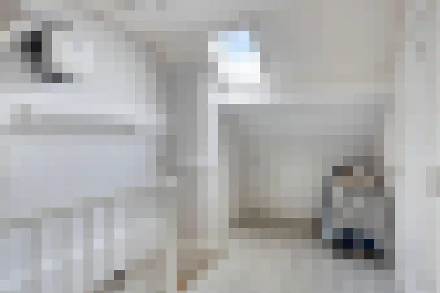 Meerval 17 Oss thumbnail 19
