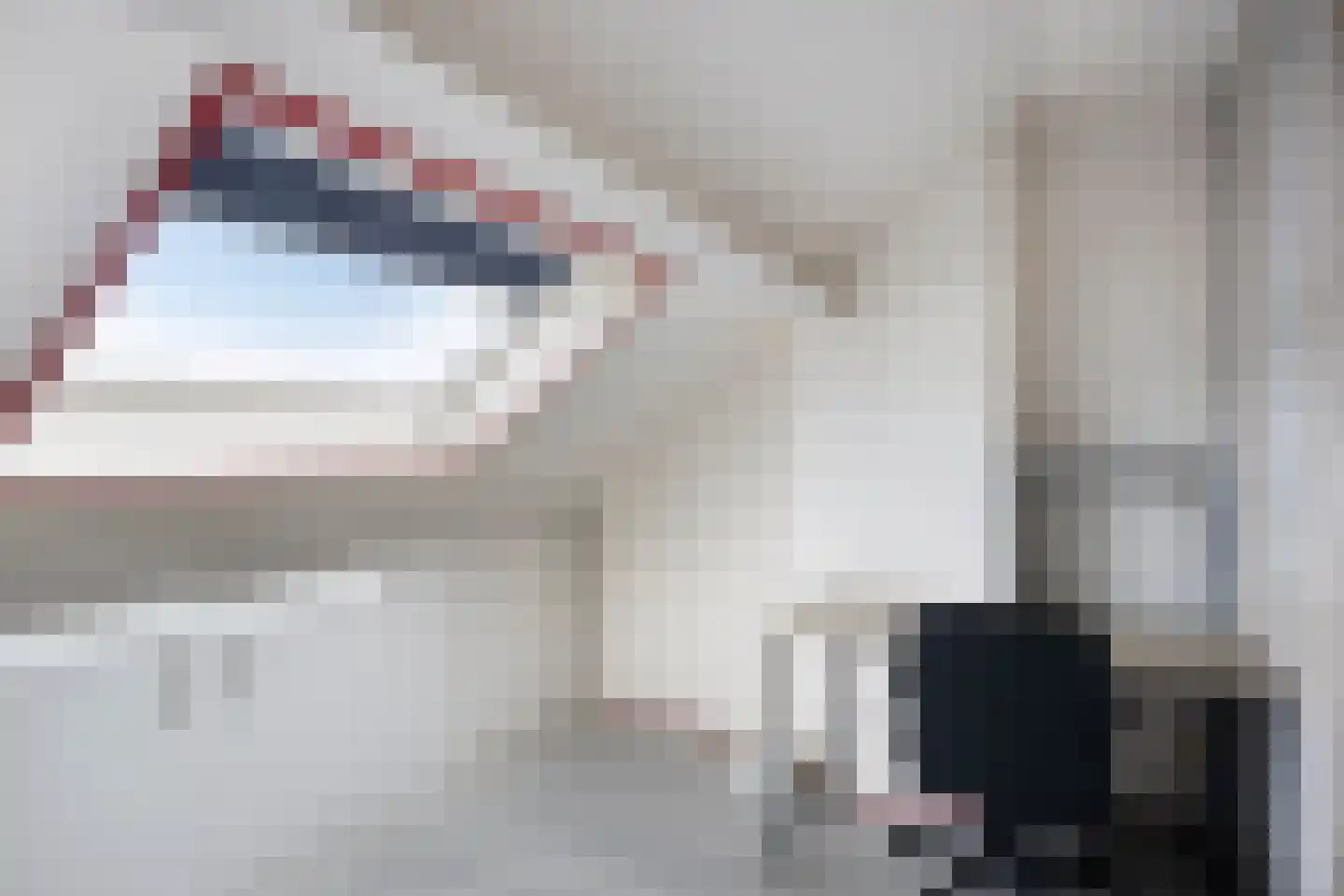Meerval 17 Oss thumbnail 22
