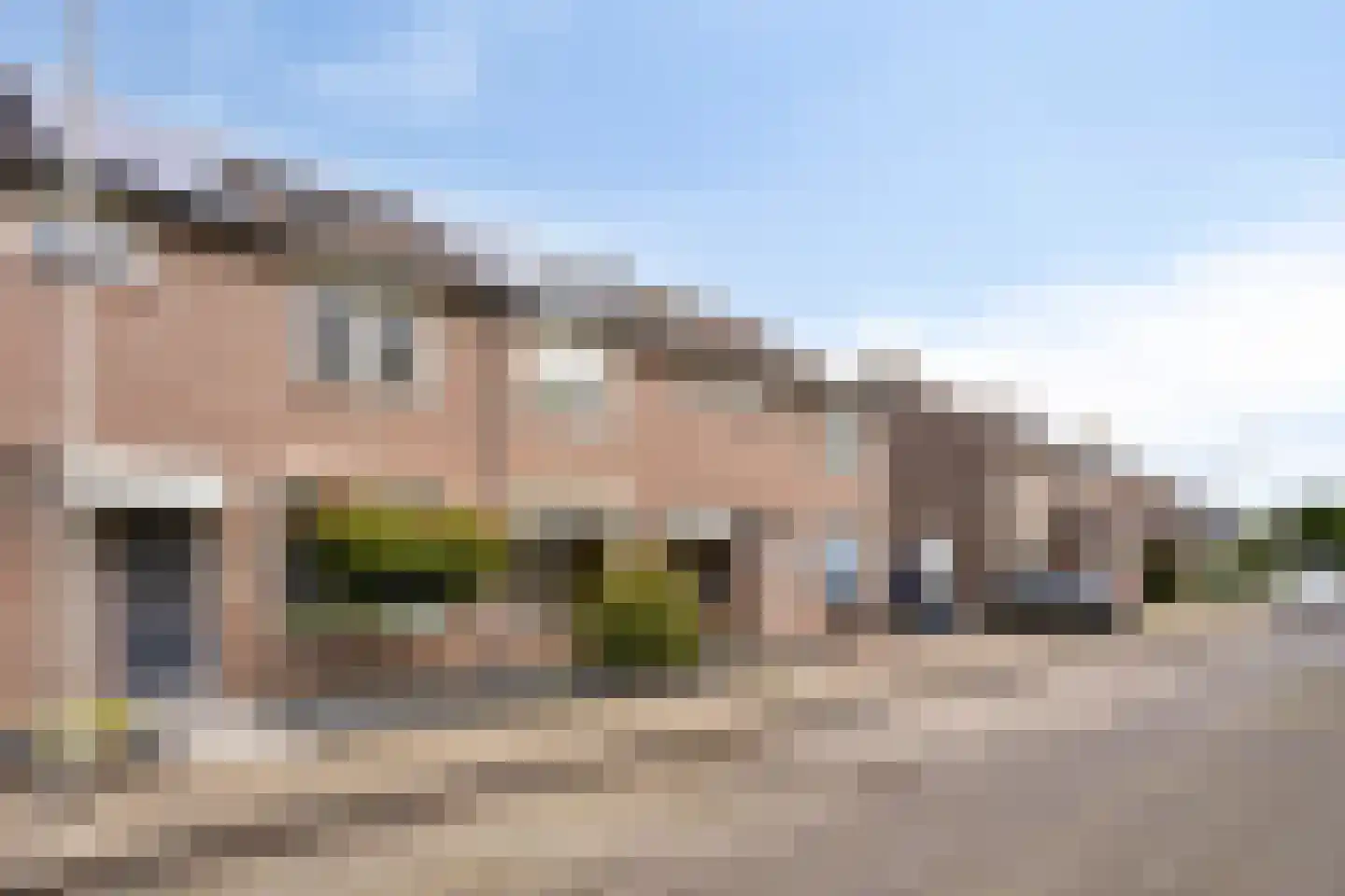 Meerval 17 Oss thumbnail 28
