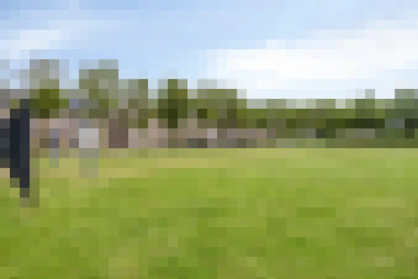Meerval 17 Oss thumbnail 30