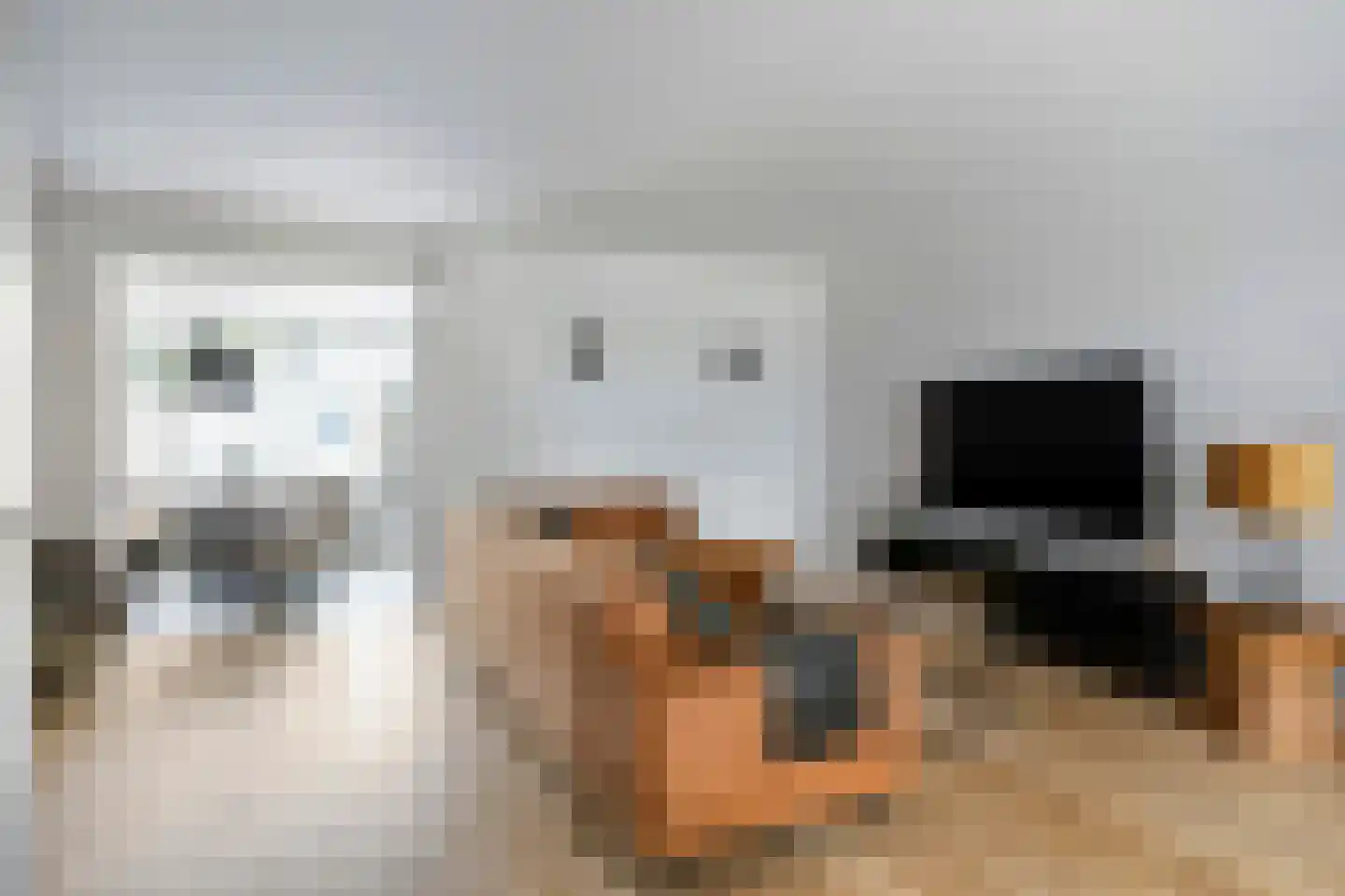 Meerval 17 Oss thumbnail 4
