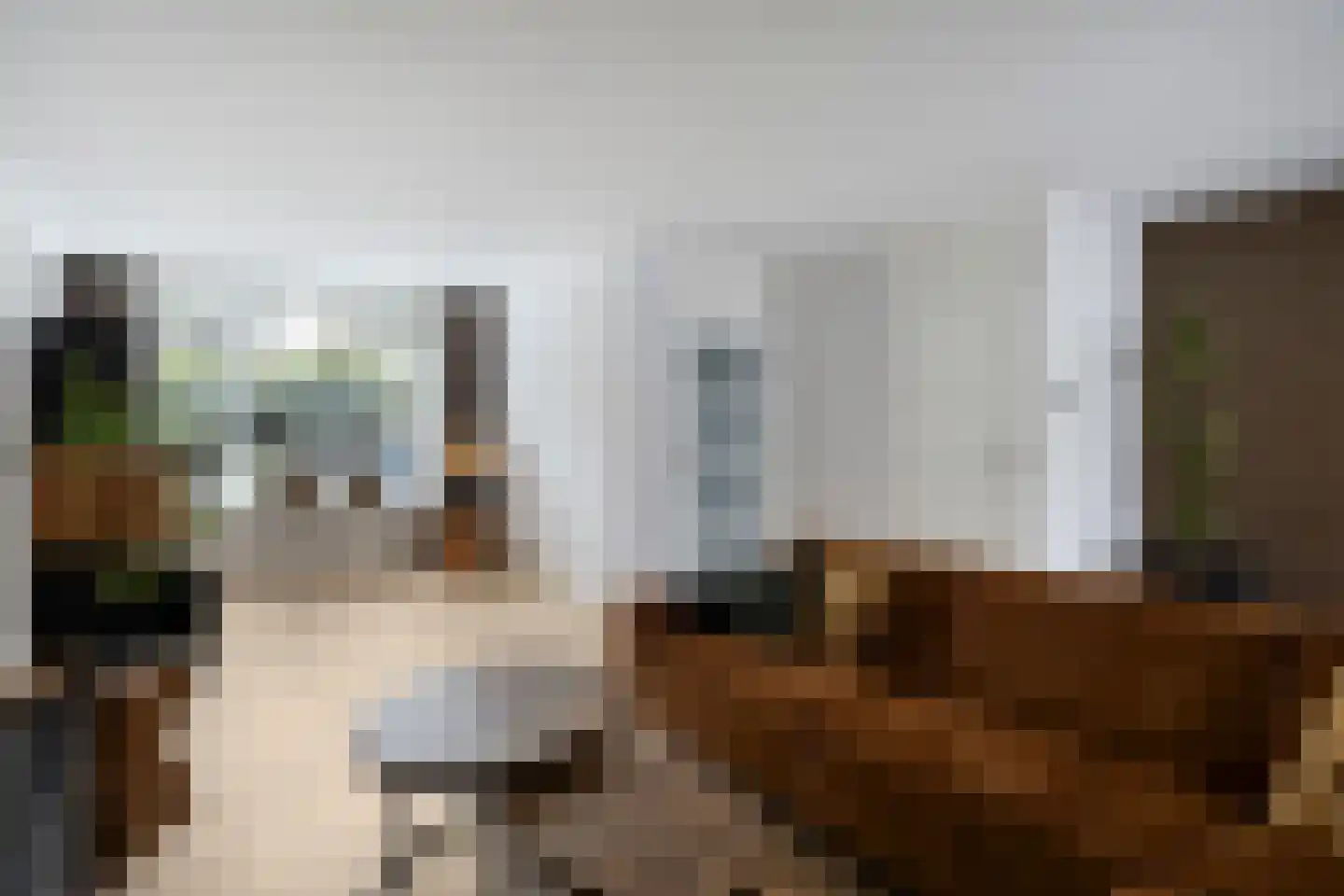 Meerval 17 Oss thumbnail 5