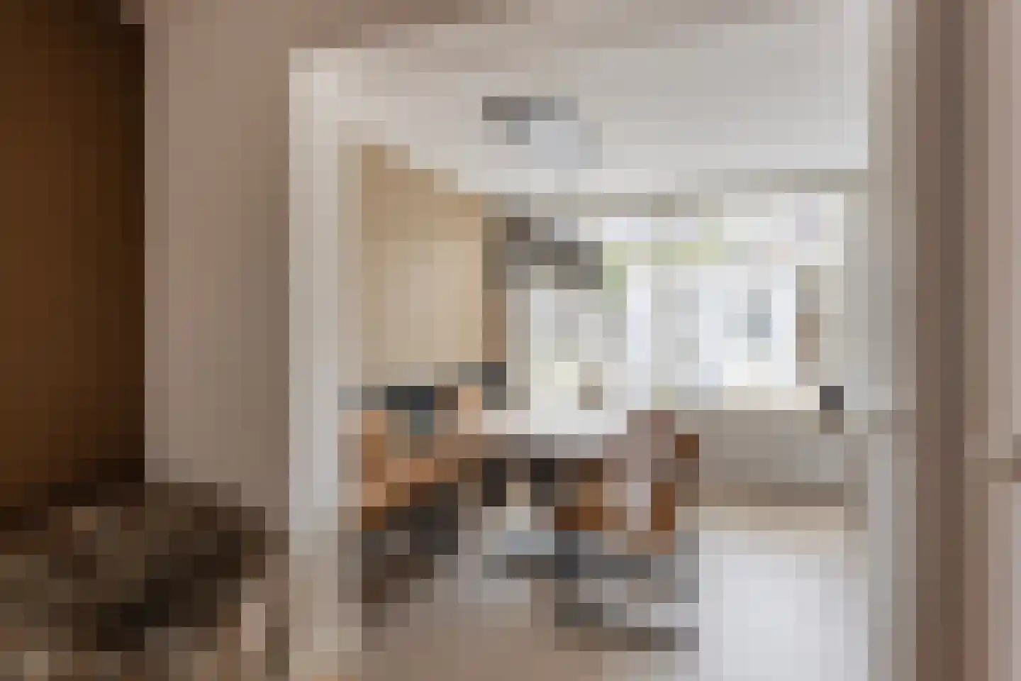 Meerval 17 Oss thumbnail 7