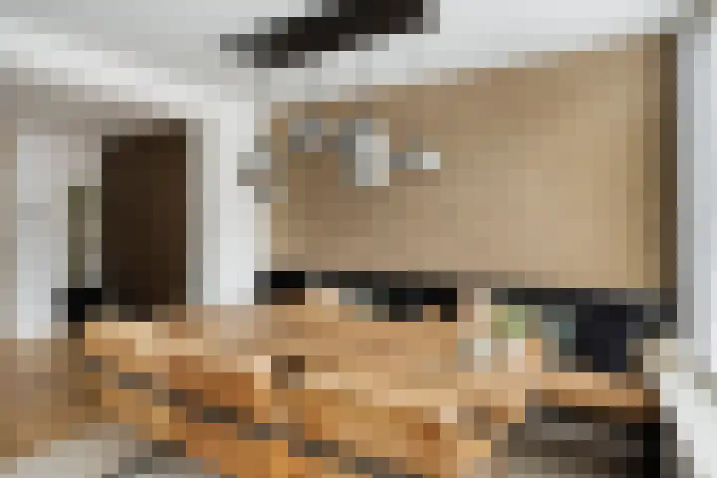 Meerval 17 Oss thumbnail 8