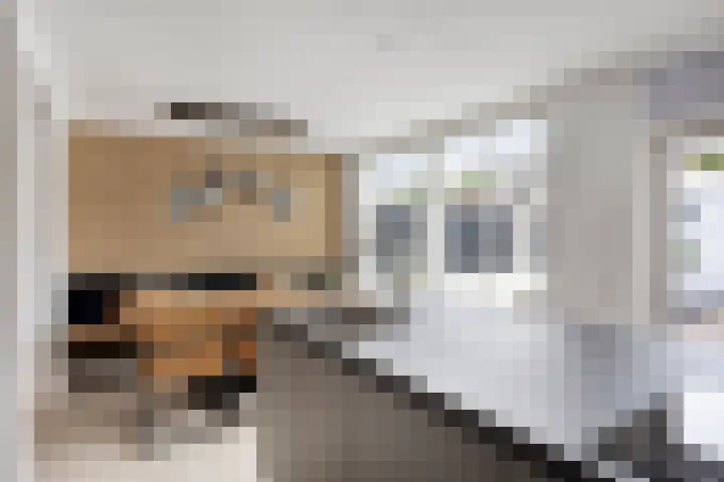 Meerval 17 Oss thumbnail 9