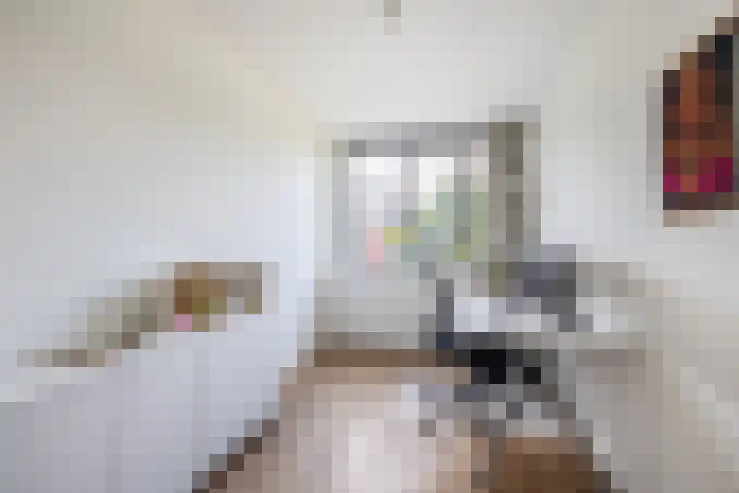 Meerval 19 Waddinxveen thumbnail 17