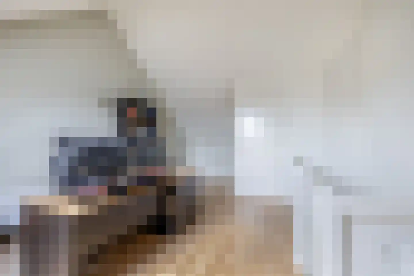 Meerval 19 Waddinxveen thumbnail 19