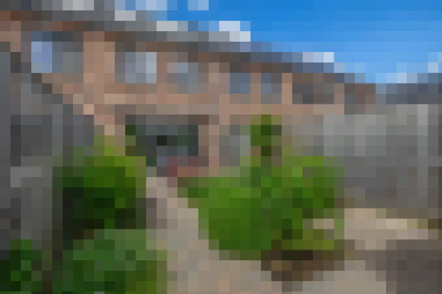 Meerval 19 Waddinxveen thumbnail 21