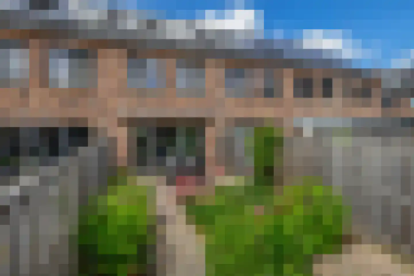 Meerval 19 Waddinxveen thumbnail 22