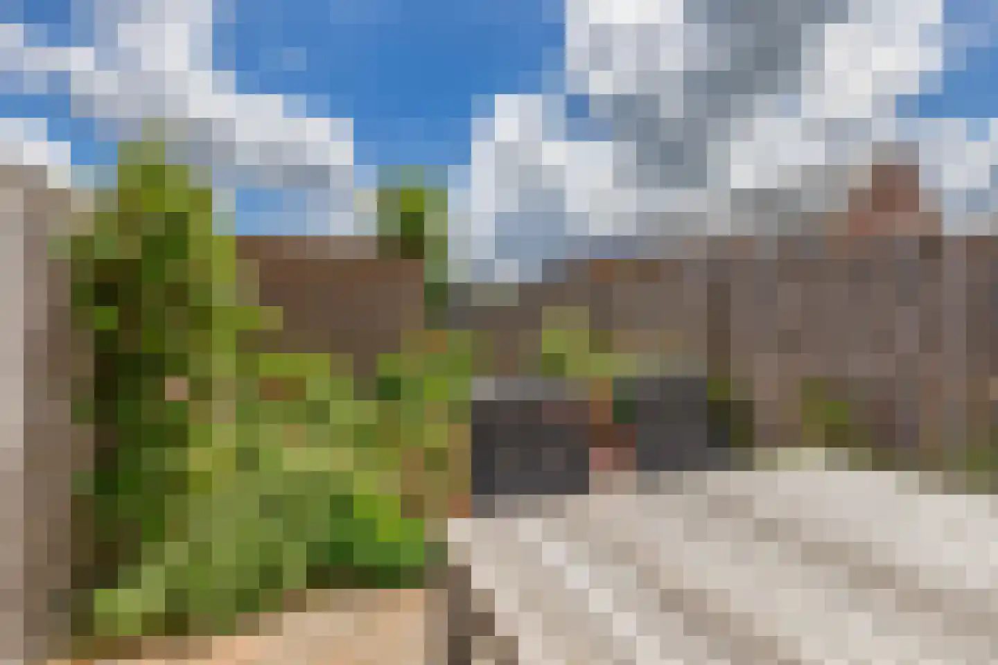 Meerval 19 Waddinxveen thumbnail 23