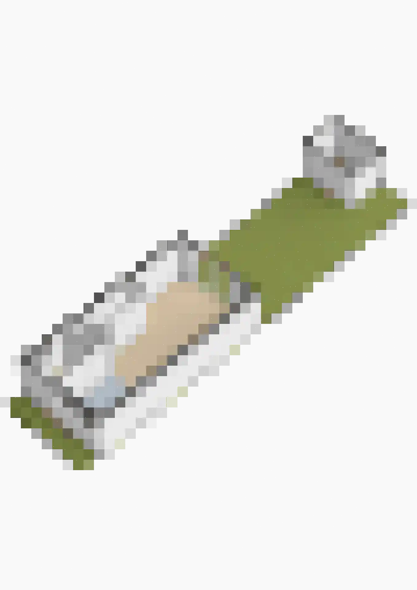 Meerval 19 Waddinxveen thumbnail 39