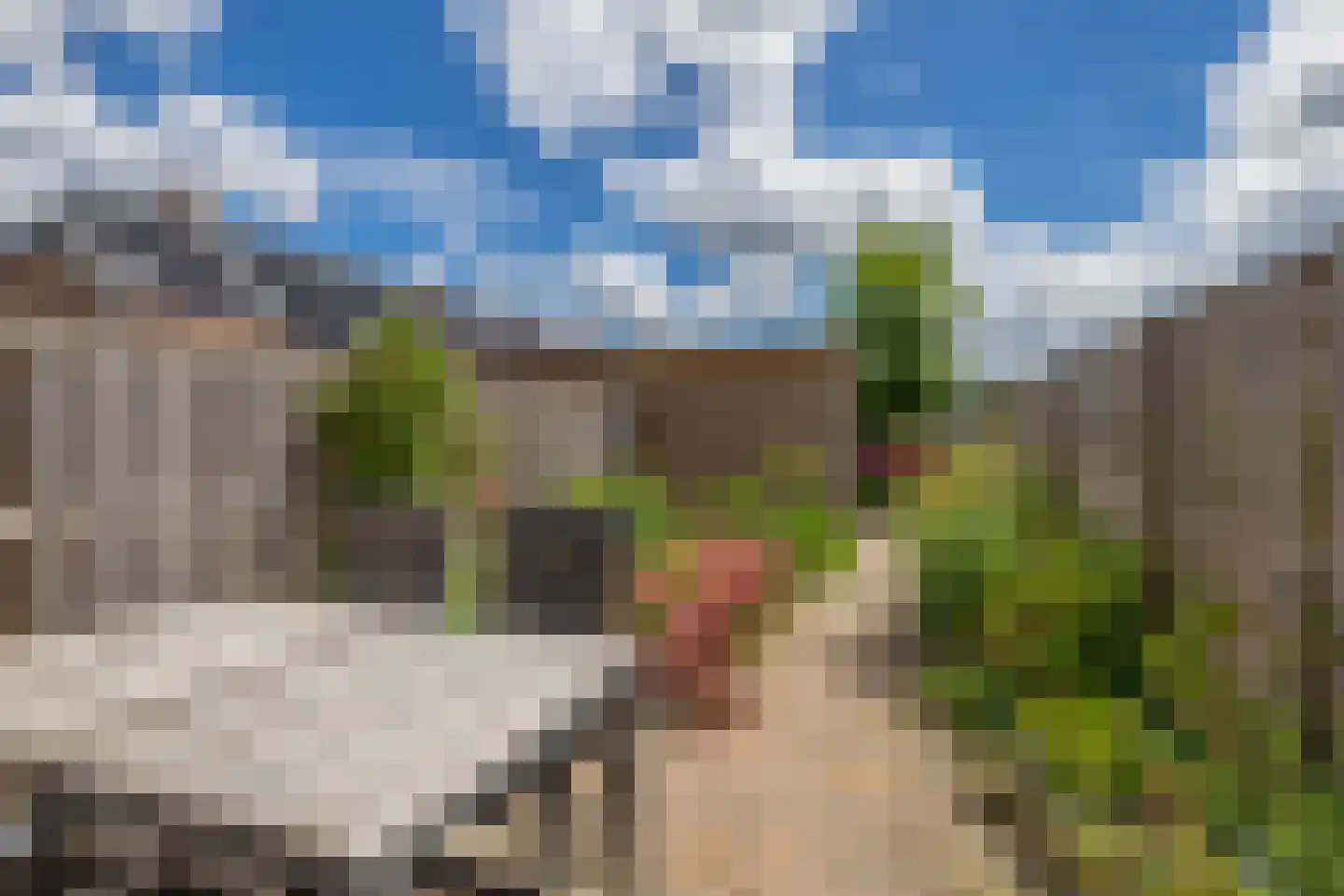 Meerval 19 Waddinxveen thumbnail 4