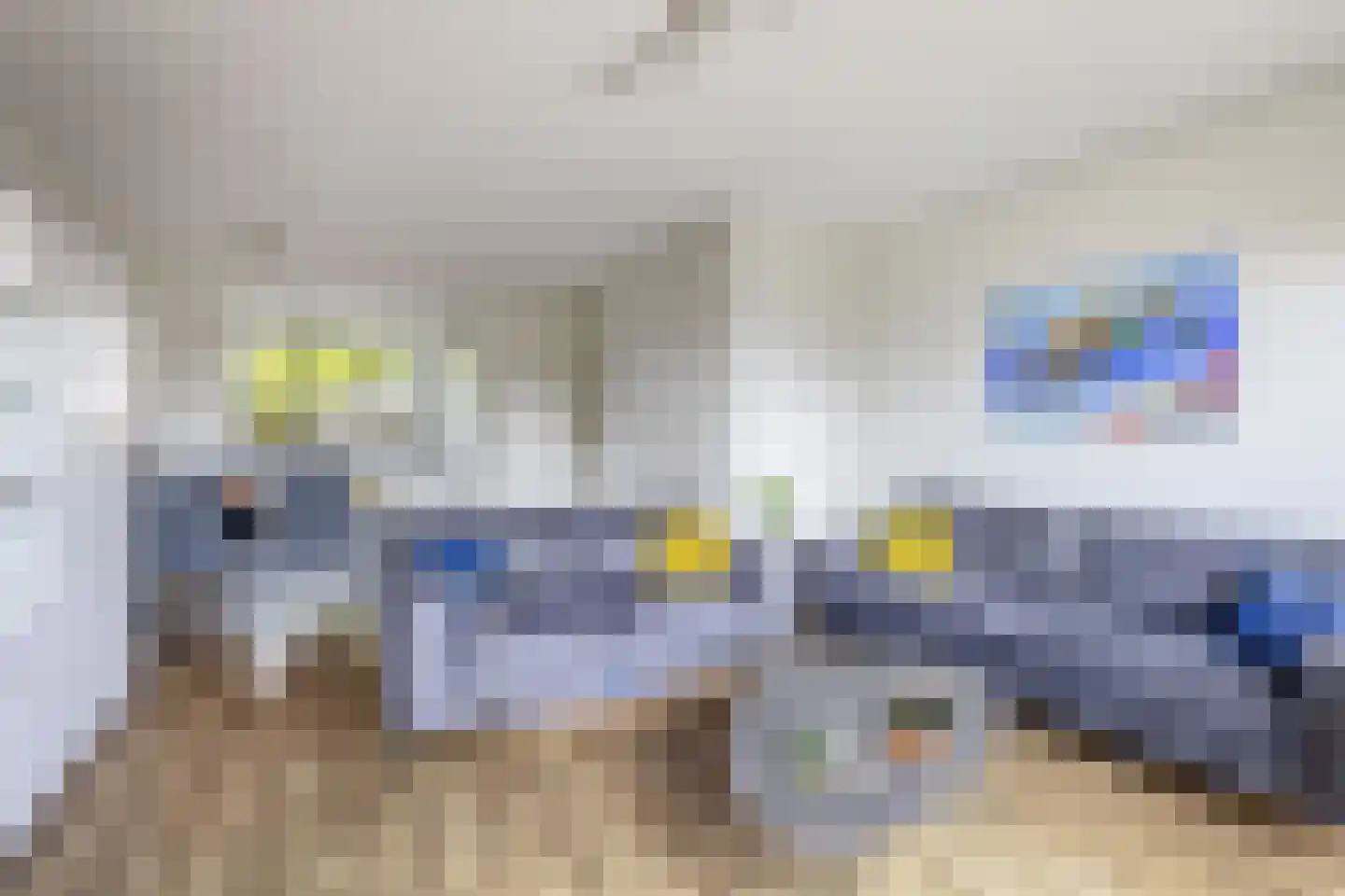 Meerval 19 Waddinxveen thumbnail 5