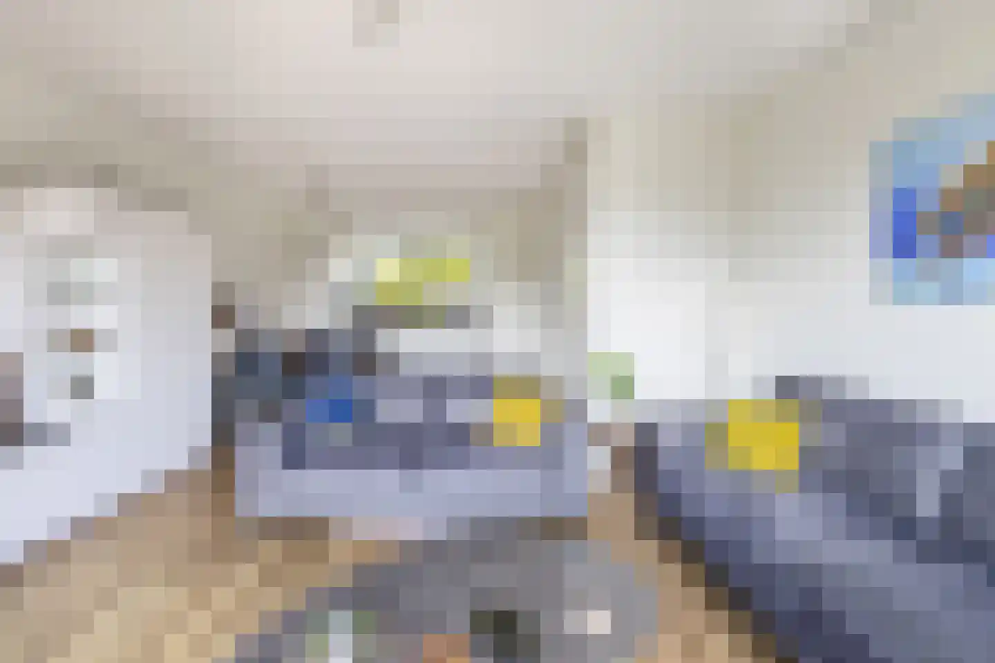 Meerval 19 Waddinxveen thumbnail 6