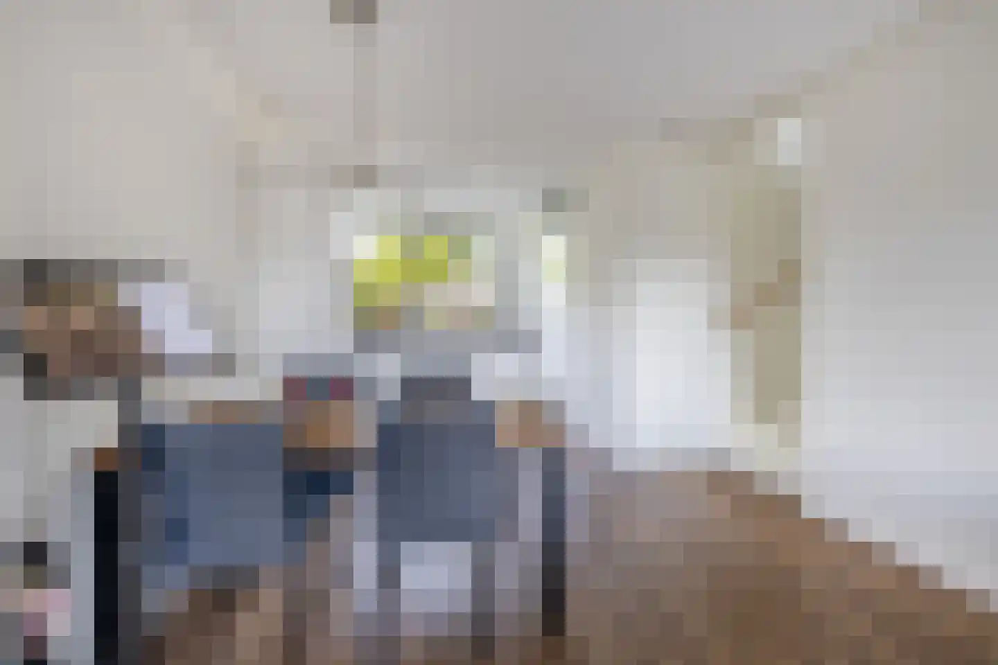 Meerval 19 Waddinxveen thumbnail 7