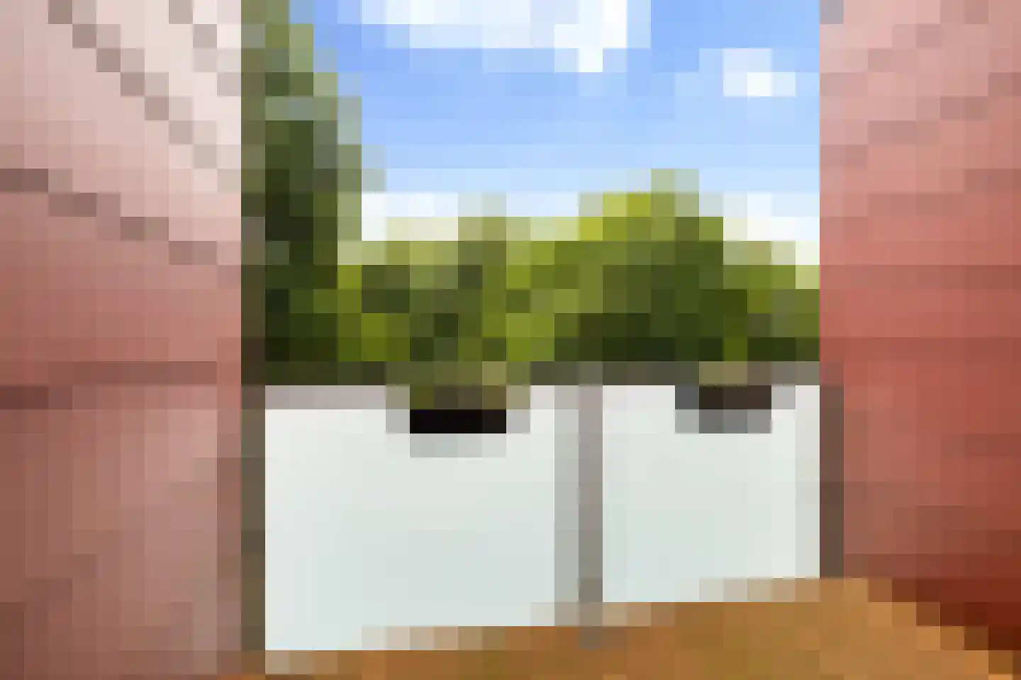 Meerval 20 Amersfoort thumbnail 16