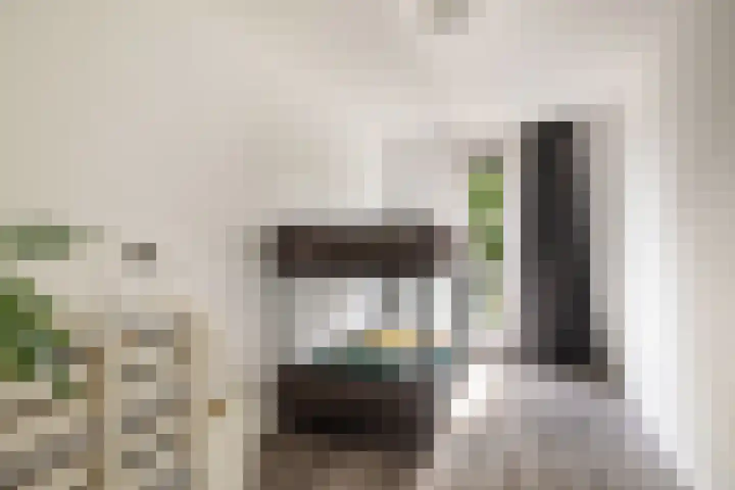 Meerval 20 Amersfoort thumbnail 24