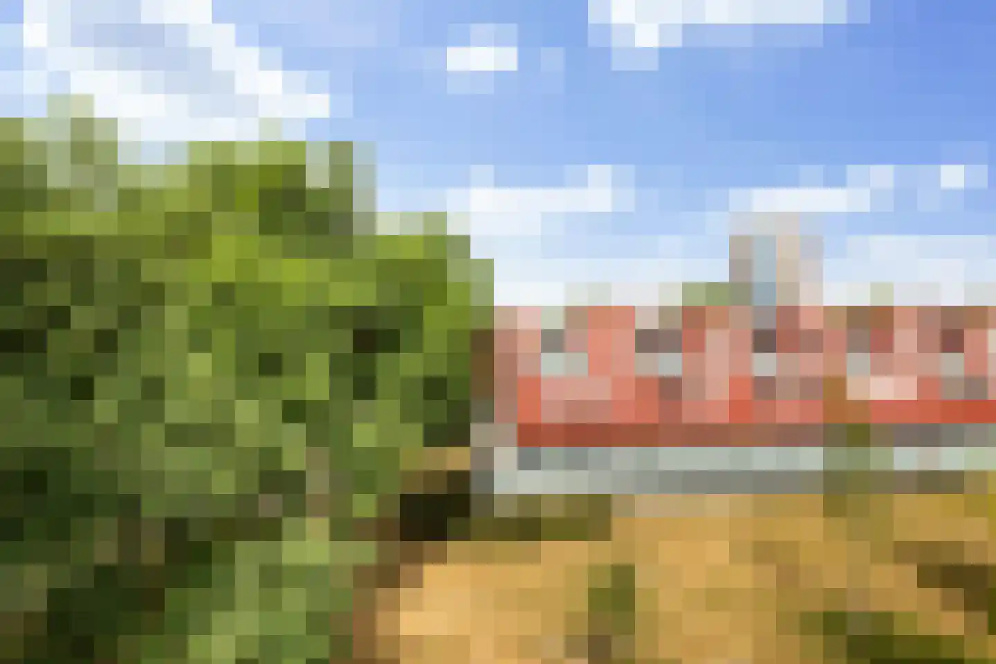 Meerval 20 Amersfoort thumbnail 34
