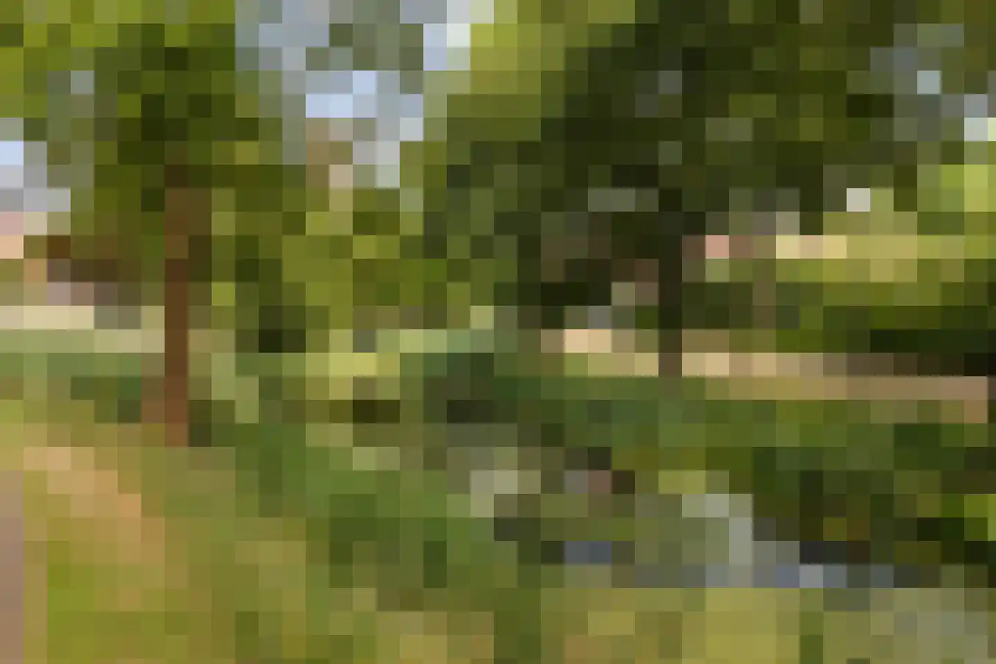Meerval 20 Amersfoort thumbnail 35