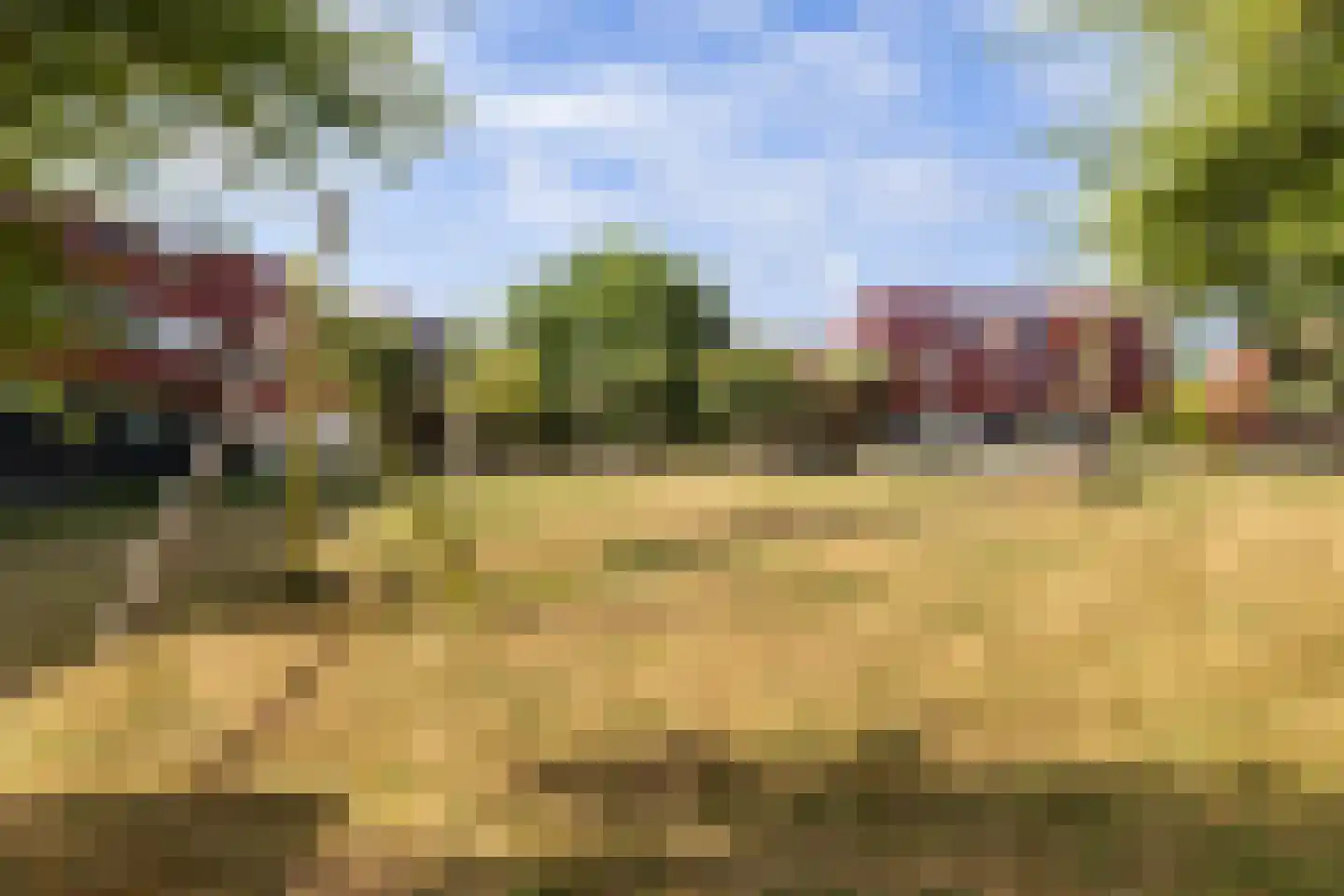 Meerval 20 Amersfoort thumbnail 36