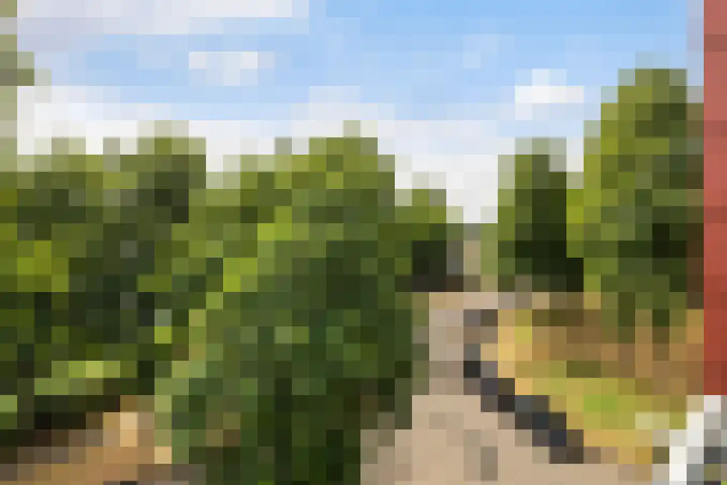 Meerval 20 Amersfoort thumbnail 37