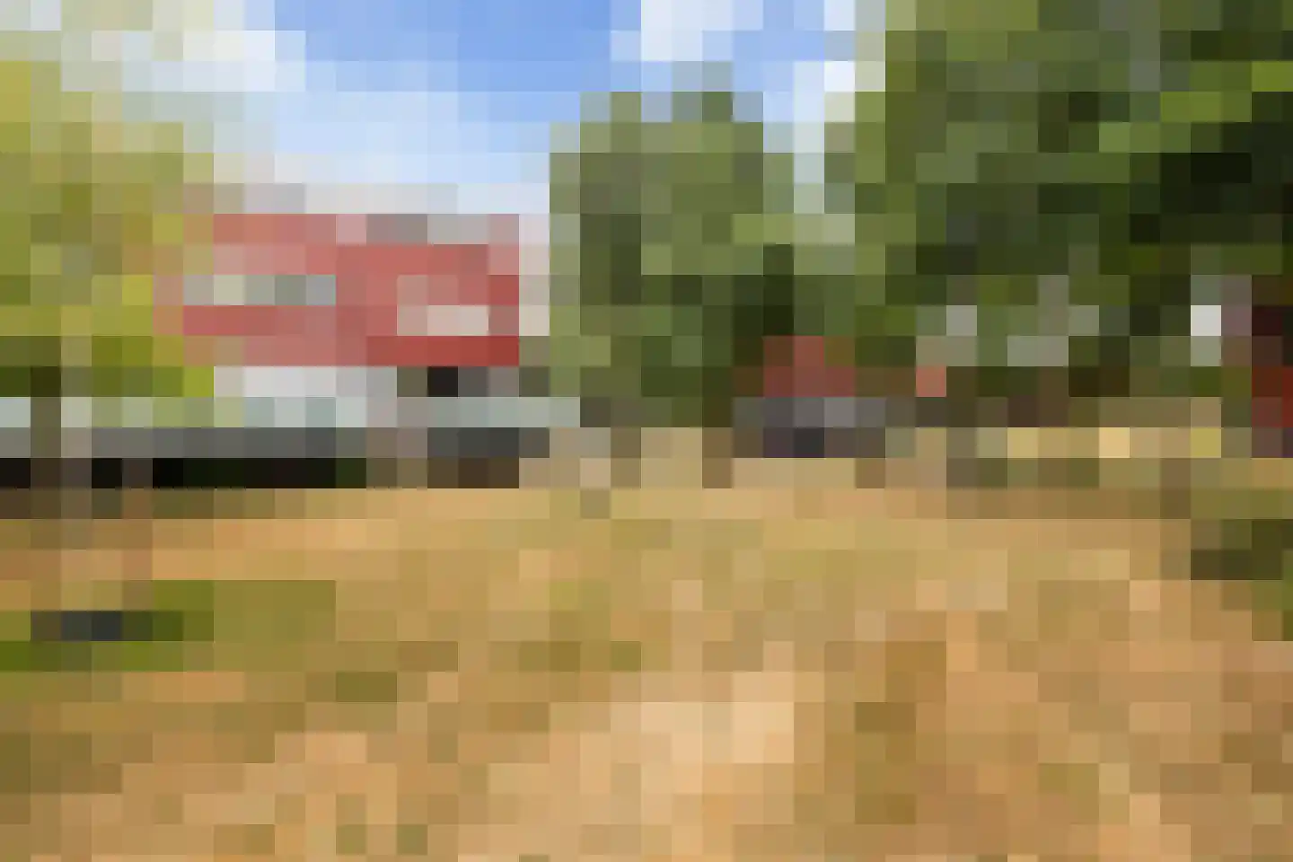Meerval 20 Amersfoort thumbnail 38