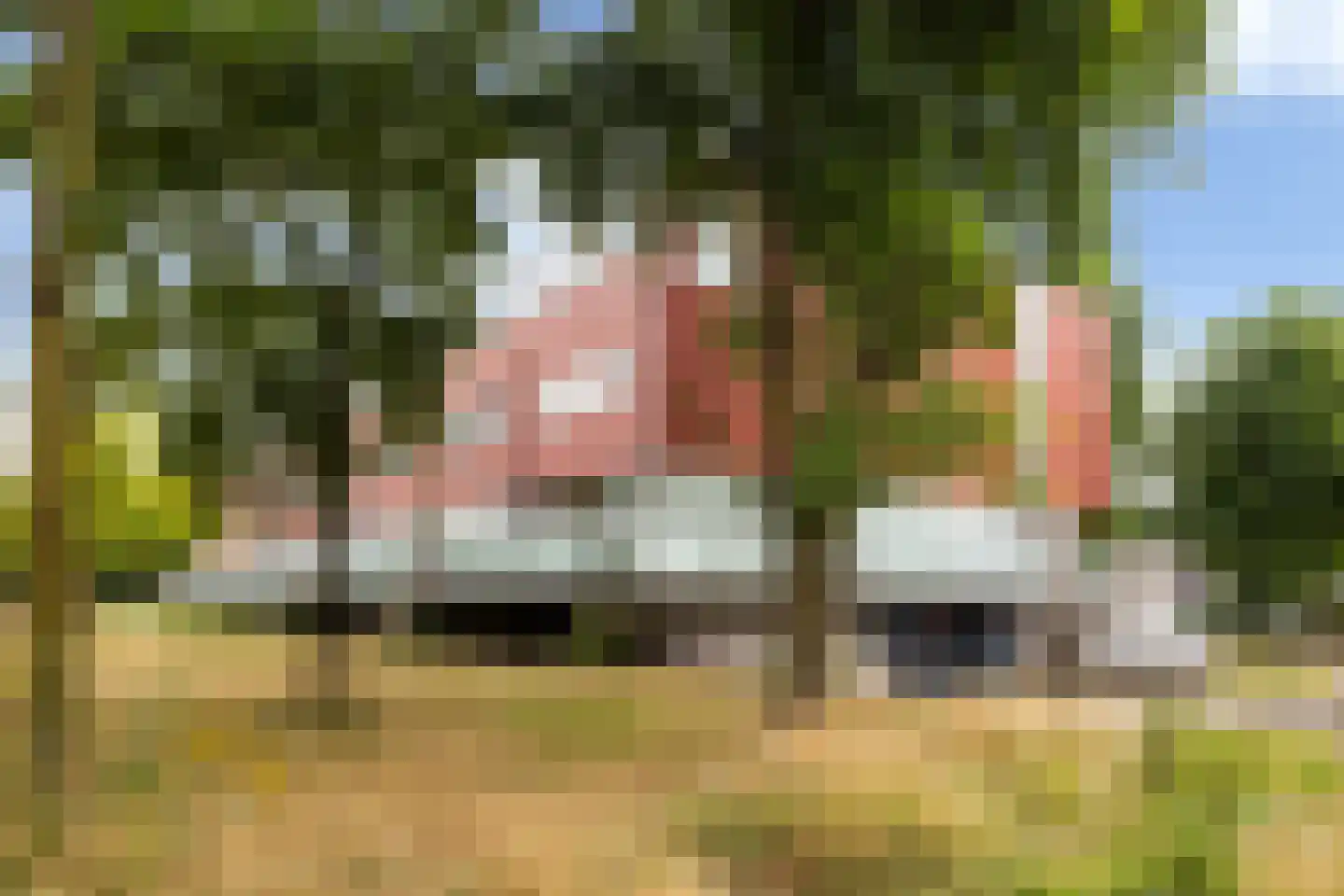 Meerval 20 Amersfoort thumbnail 39