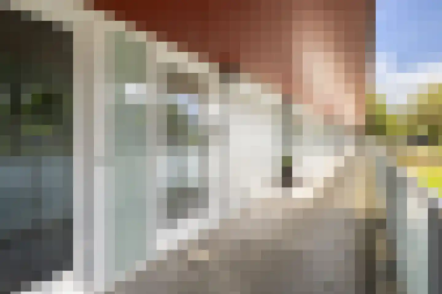 Meerval 20 Amersfoort thumbnail 41