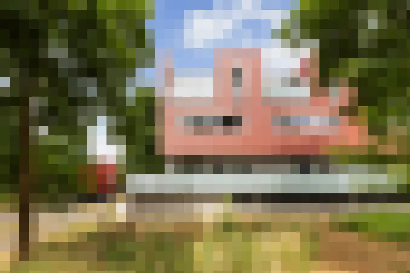 Meerval 20 Amersfoort thumbnail 43