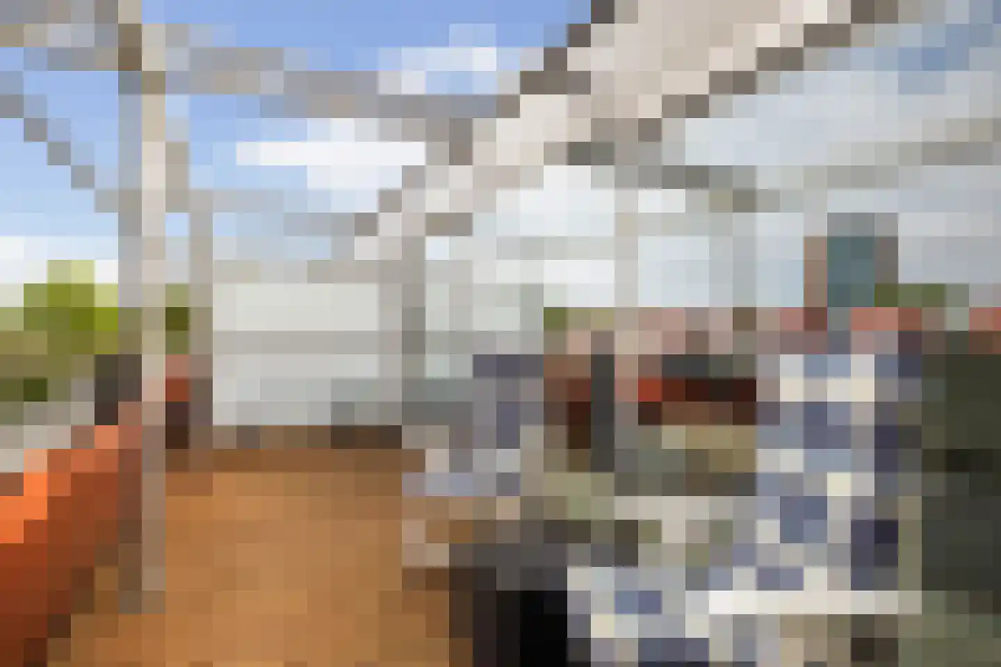 Meerval 20 Amersfoort thumbnail 7