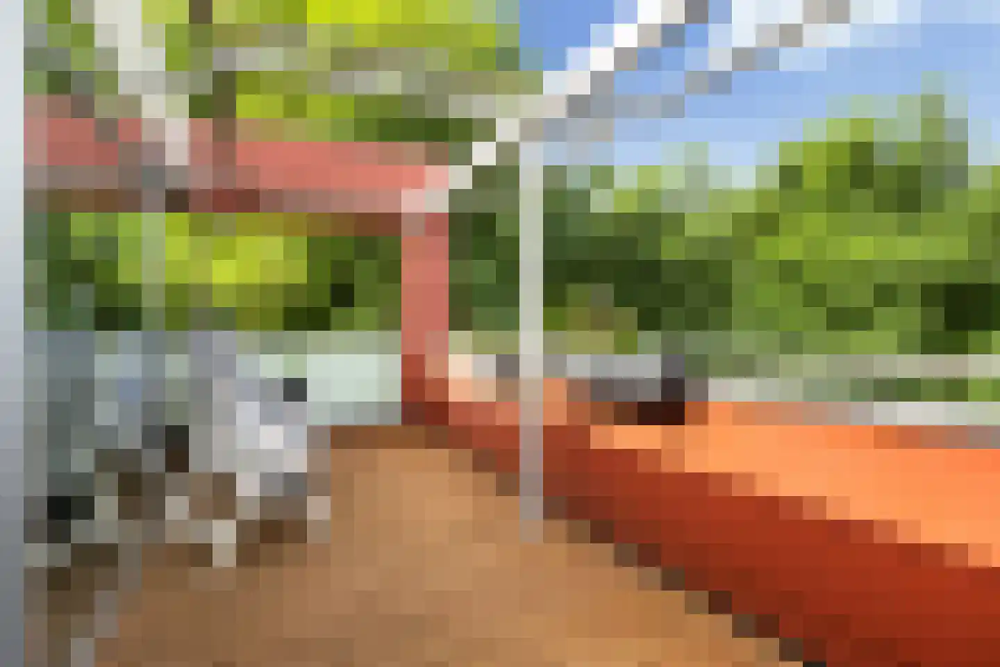 Meerval 20 Amersfoort thumbnail 8